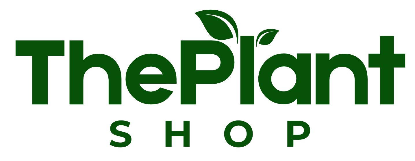 Buy Indoor and Outdoor Plants Online in UAE | ThePlantSHOP.ae